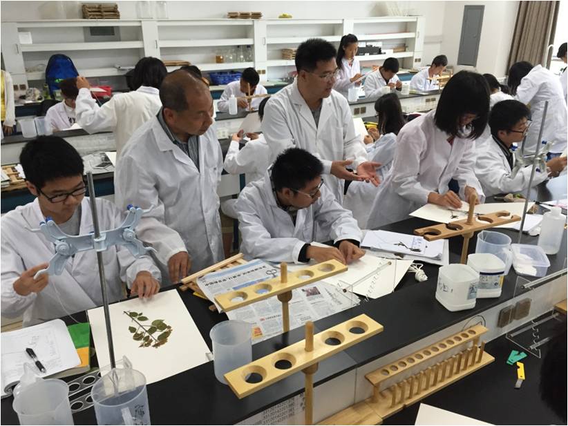 图片8.jpg